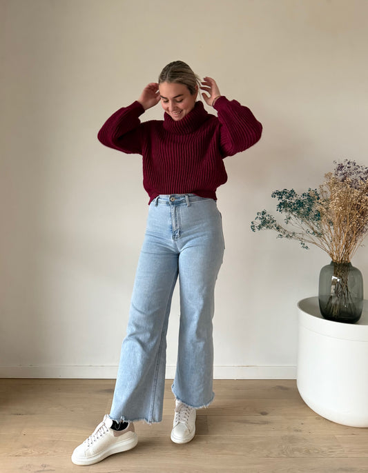 Turtle neck sweater - Burgundy